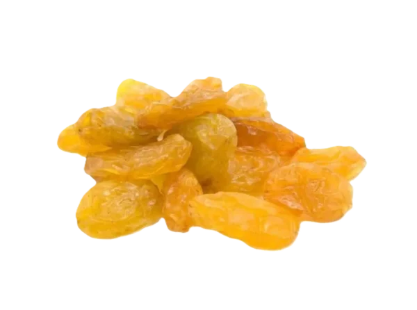 GOLDEN-RAISIN-1