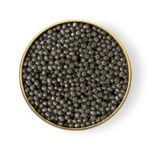Sevruga