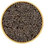 Baerii