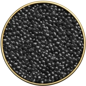 BELUGA CAVIAR