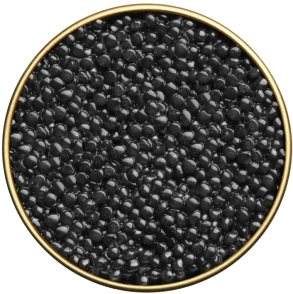 BELUGA CAVIAR