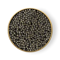Sevruga